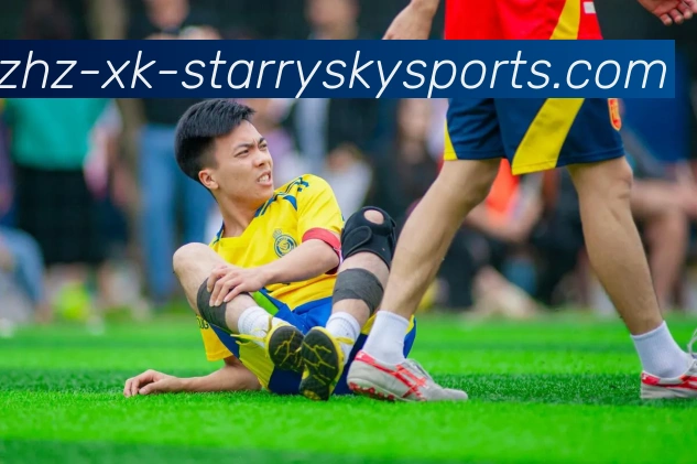 多媒体互动体验